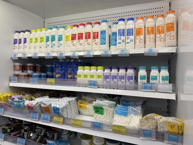 Молоко, йогурты и творог, которые сейчас продаются в магазинах, полностью безопасны | Источник: Ирина Шутько / E1.RU