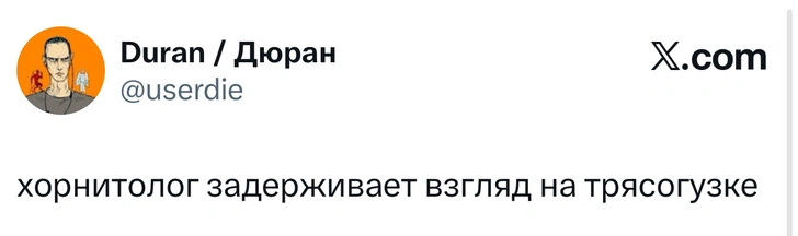 Источник: X (Twitter)