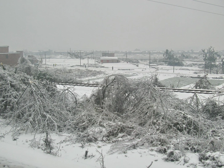 Метель в Лояне, провинция Хэнань | Источник: Baycrest/Wikimedia Commons