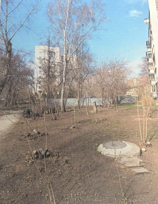 Вместо зарослей оставили самые сильные ветви | Источник: Марина Кутлева