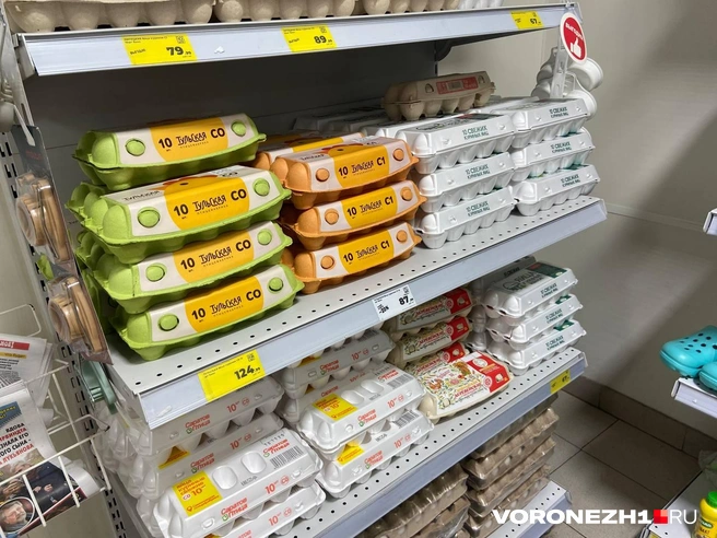 Источник: Дмитрий Волгин / Voronezh1.ru