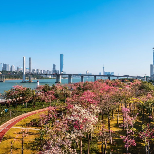 Источник: Mingxian Liu/Shutterstock/Fotodom.ru