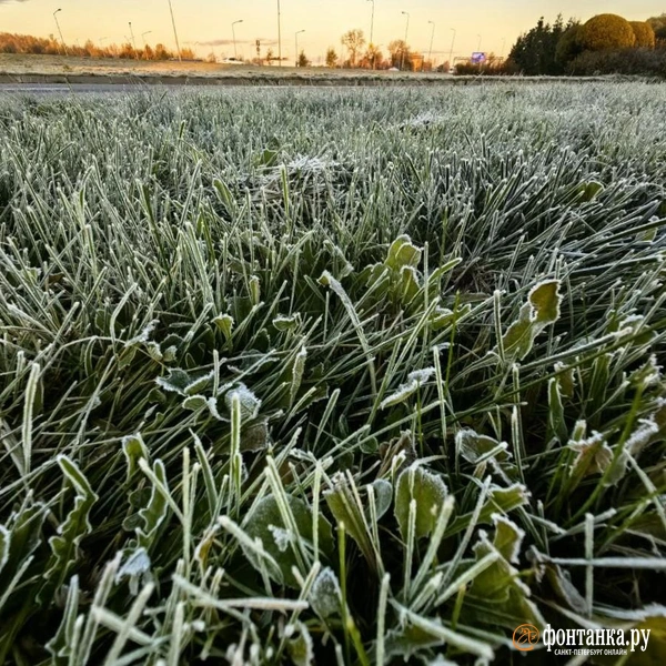 Источник: Ксения Потеева / «Фонтанка.ру»