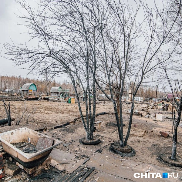Источник: Олег Федоров / CHITA.RU