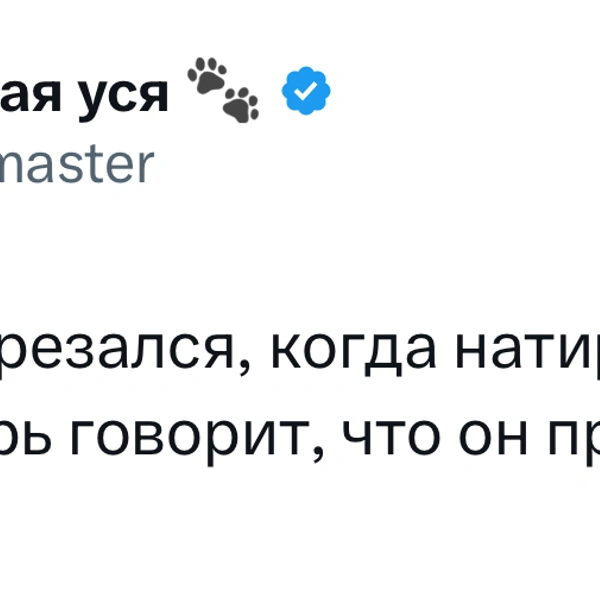 Источник: X (Twitter)