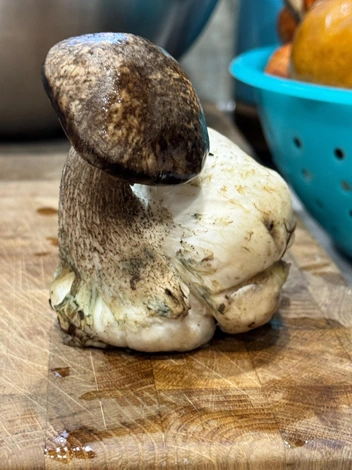 Источник: Татьяна Чепрасова