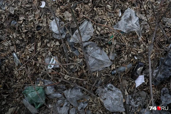 Даже искатели бутылок обходят эти залежи стороной | Источник: Наталья Лапцевич