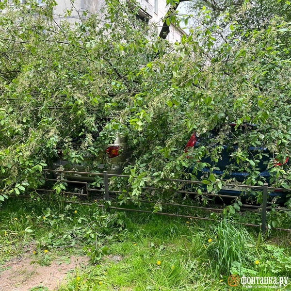 Источник: читатель «Фонтанки»