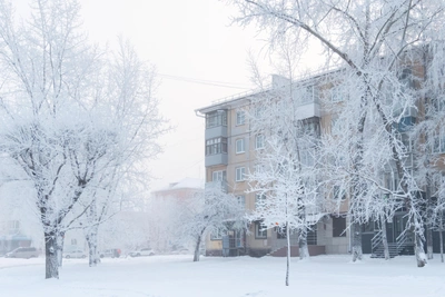 В Саратове до конца февраля продержатся морозы