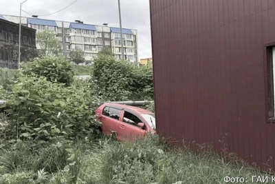 55-летняя женщина в Петропавловске врезалась в дом
