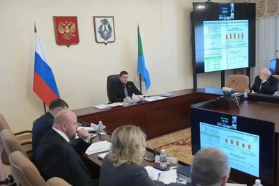 Посевная площадь в Хабаровском крае выросла до 63,8 тыс. га
