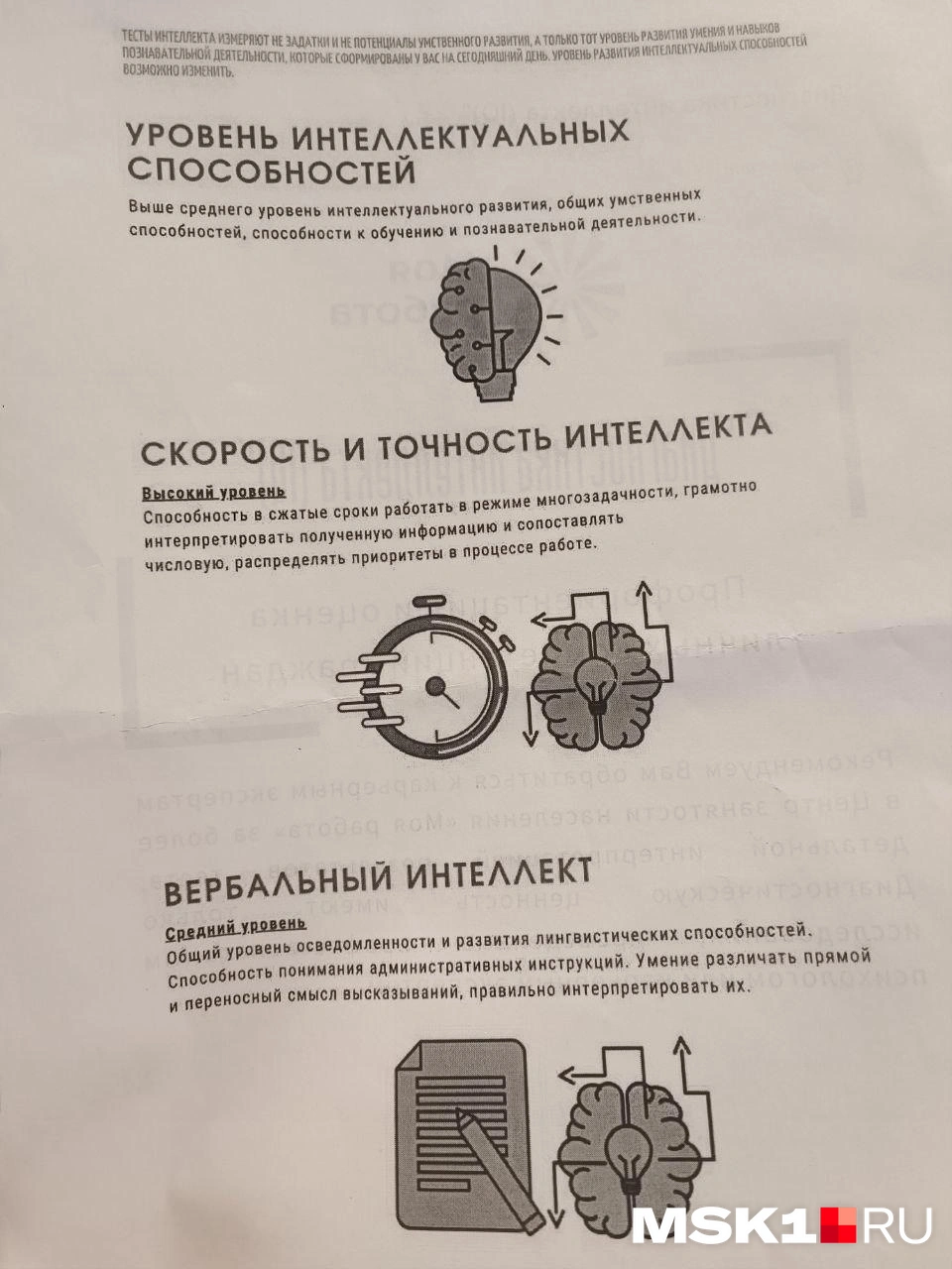 Забавный «документ» | Источник: Анастасия Харитонова / MSK1.RU