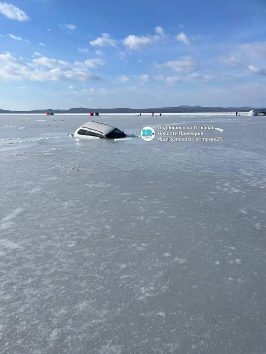 Источник: Novosti_primorye25 / T.me