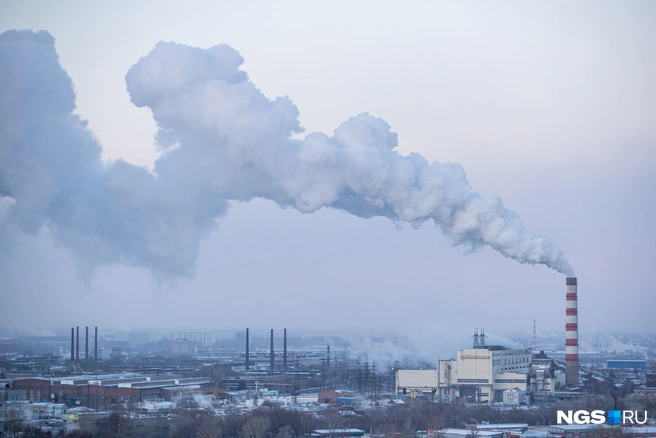 Морозы не собираются покидать регион в ближайшие дни | Источник: Александр Ощепков / NGS.RU