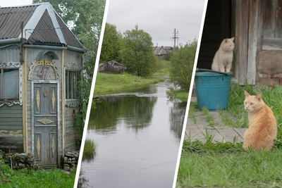 Что посмотреть в Обозерском: озера, старинные дома и коты