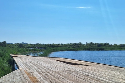 Трагедия на Черном озере в Кургане: утонул пьяный мужчина