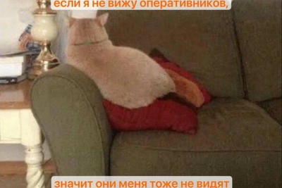 Петербуржец, спрятавшийся в диване от приставов, получил 10 суток ареста