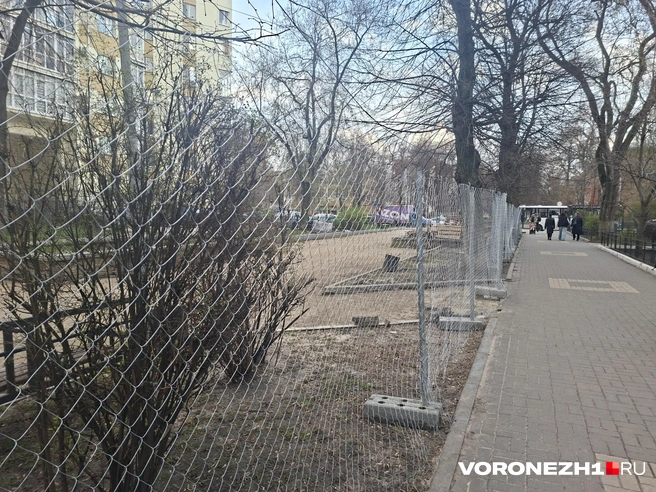 Пройти вдоль участка проведения работ можно только одной стороне | Источник: Алёна Воропаева / Voronezh1.ru