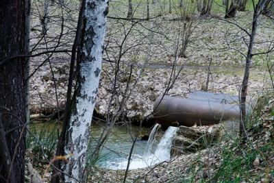 T Plus subsidiary fined in Izhevsk for polluting Karlutka River