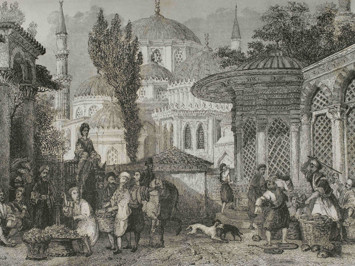 Жизнь в клетке и браки с детьми: 10 безумных законов и обычаев Османской империи, которые покажутся нам дикостью сегодня