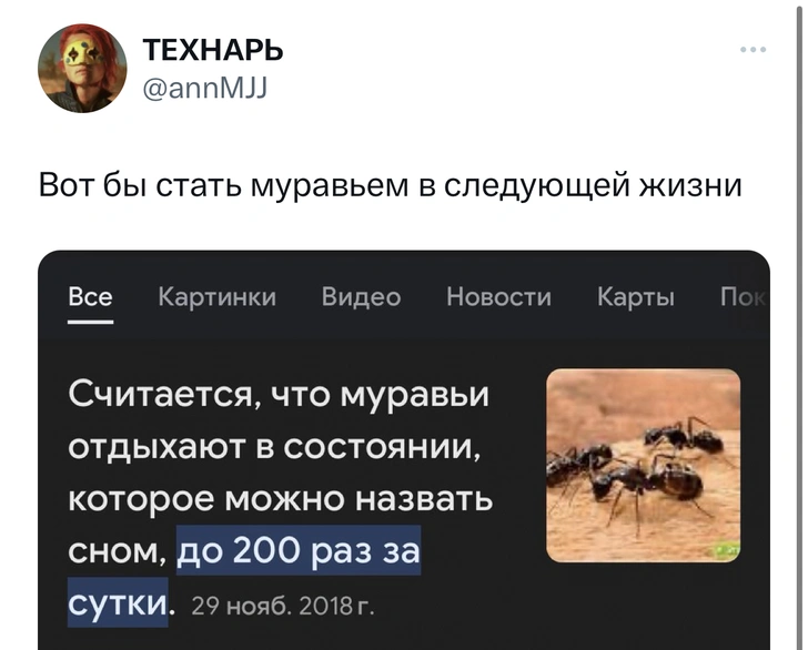 Шутки среды и «страна майонеза»