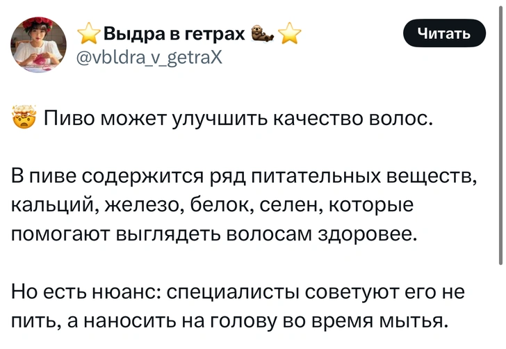 Источник: X (Twitter)