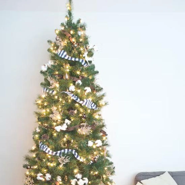 Источник: The Golden Sycamore