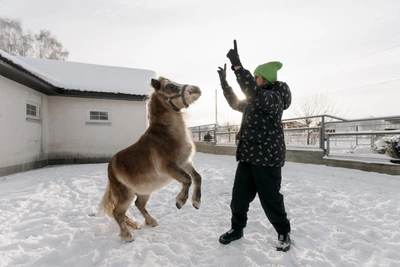 Dancing Ponies Delight Visitors at Chelyabinsk Horse Farm