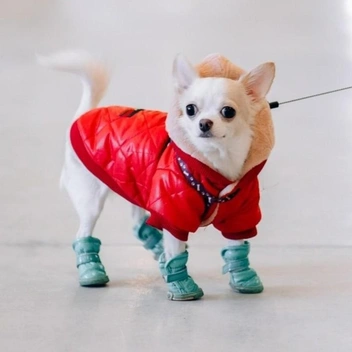 А в этом&nbsp;— прямиком на подиум. Или участвовать в модной фотосессии | Источник: личный архив Елены Матвиенко