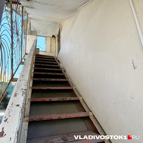 Источник: Елена Буйвол / VLADIVOSTOK1.RU