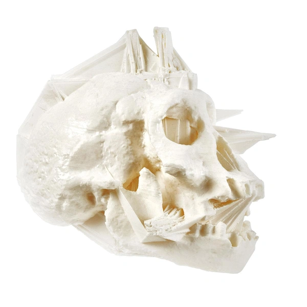 Кирилл Рейв «Череп цивилизации» | Источник: Кирилл Рейв (Kirill Rave)