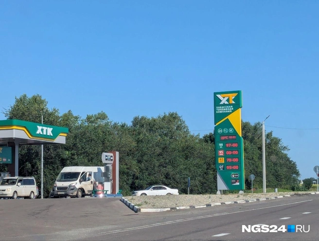 Также недалеко от Приморска | Источник: Мария Ленц / NGS24.RU