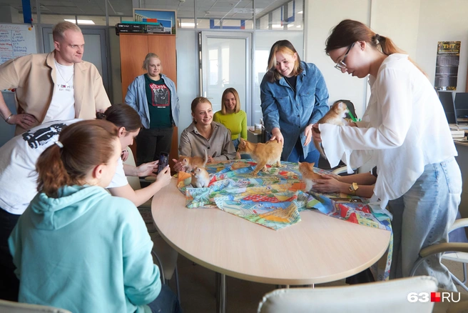 Три мальчика и одна девочка навели суету в редакции | Источник: Роман Данилкин / 63.RU