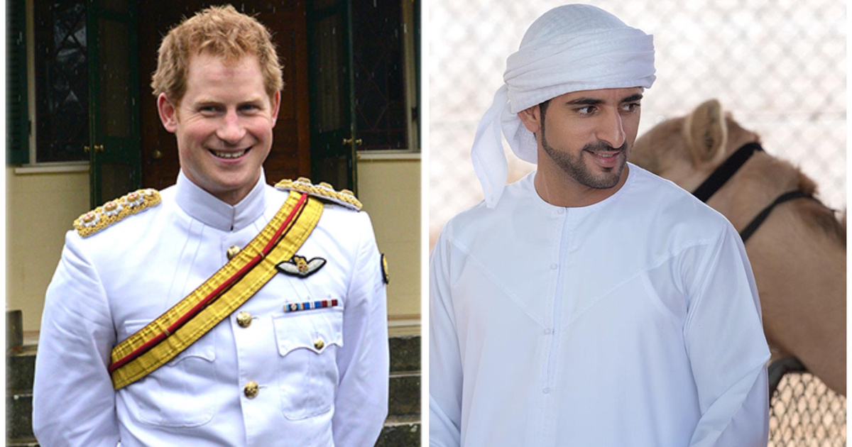 Дикие лебеди сколько раз в год братья могли прилетать на родину. Сколько раз в год братья принцы могут полететь на родину. В какое время принцы могли лететь. Летать на крыльях счастья. Принц гарри скандалы.