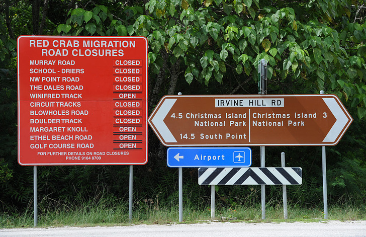 Красный указатель слева перечисляет дороги, перекрытые в связи с миграцией крабов