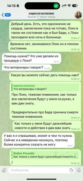 В день, когда все случилось, Родион был на нервах. Это видно по переписке | Источник: Родион Проводин