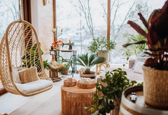 Биофильный декор: как растения влияют на продуктивность и психическое здоровье