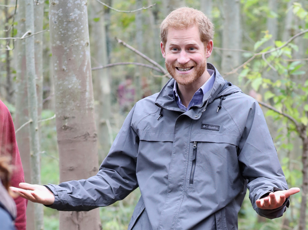 Ой, всё: названа дата бракосочетания принца Гарри и Меган Маркл | marieclaire.ru