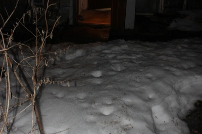 Орловец арестован за смертельное избиение и ожоги кипятком