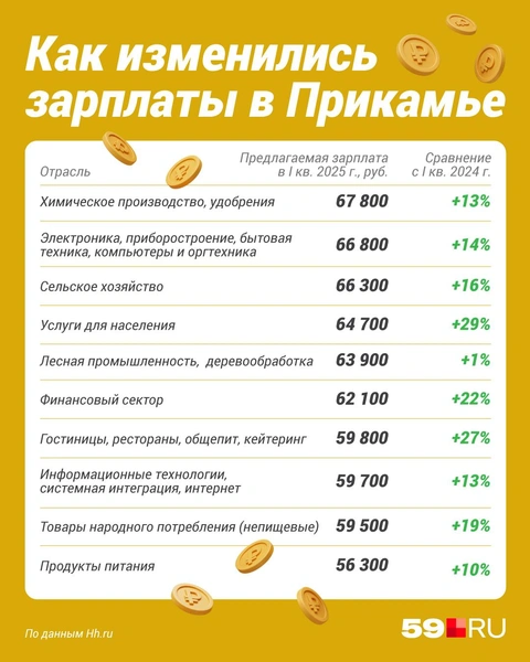 Источник: Полина Авдошина / Городские медиа