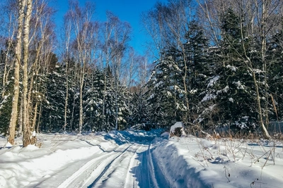 В Забайкалье 9 января прогнозируют снег и морозы до -38°C