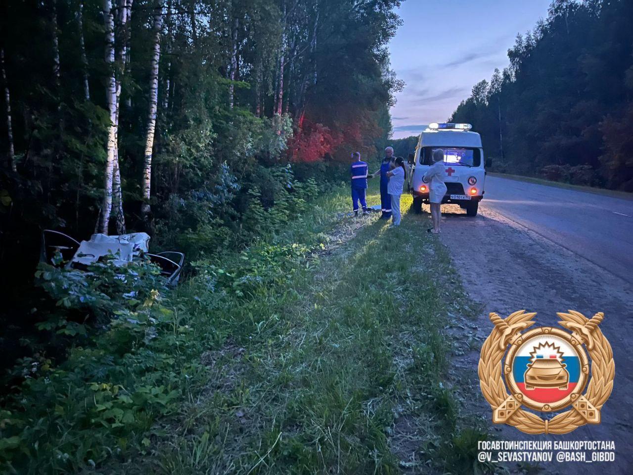 В Башкирии в ДТП с лосем погибли двое взрослых и ребенок 