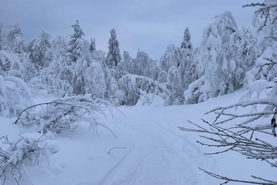 В Прикамье ищут 13 туристов, пропавших на горе Ослянка