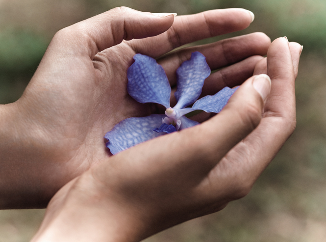 Самые дорогие косметические средства: Orchidee Imperiale от Guerlain