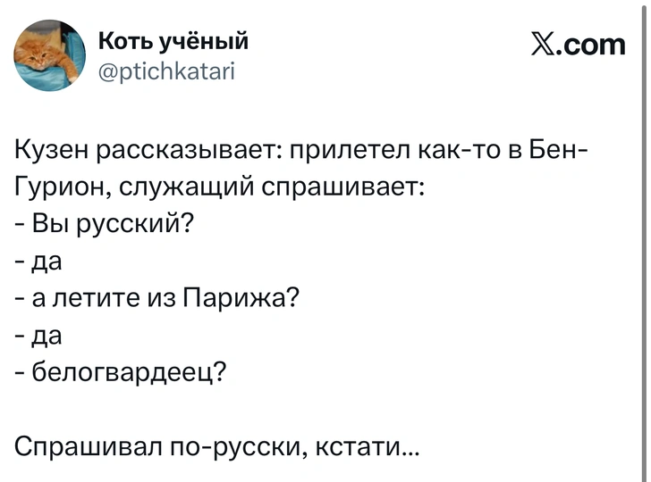 Источник: X (Twitter)