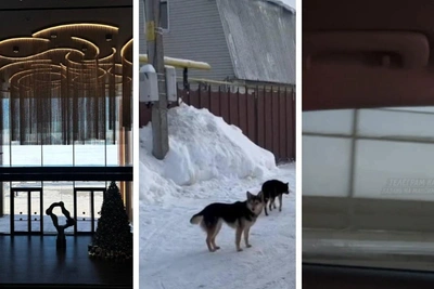 Что произошло в Татарстане 17-18 января