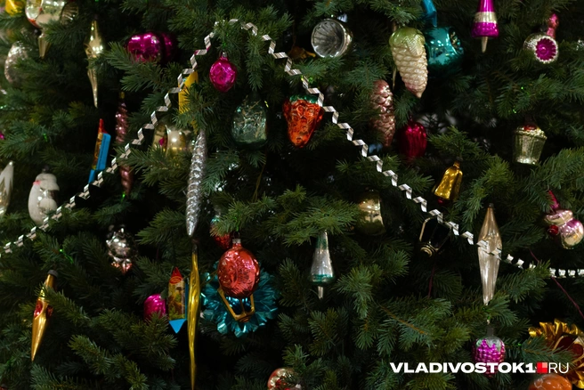 Источник: Елена Буйвол / VLADIVOSTOK1.RU
