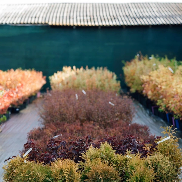 Источник: Ландшафтный дизайн в Тюмени | РЕЛЬЕФ