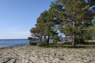 Гид Никита Истомин поддержал создание пляжей на Байкале