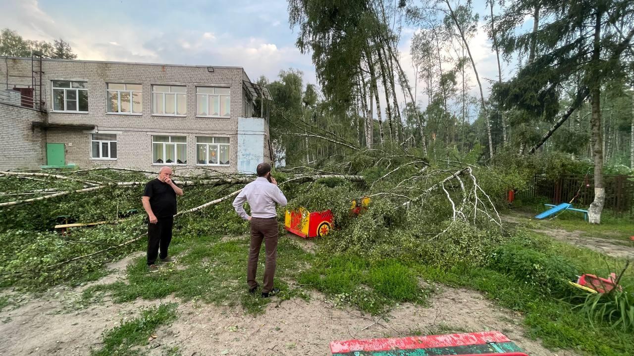 Из-за урагана закрыли ярославские детские сады. Где не работают дошкольные учреждения